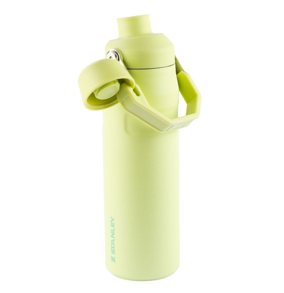 Garrafa Térmica Aerolight Fast Flow Citron | 710ML