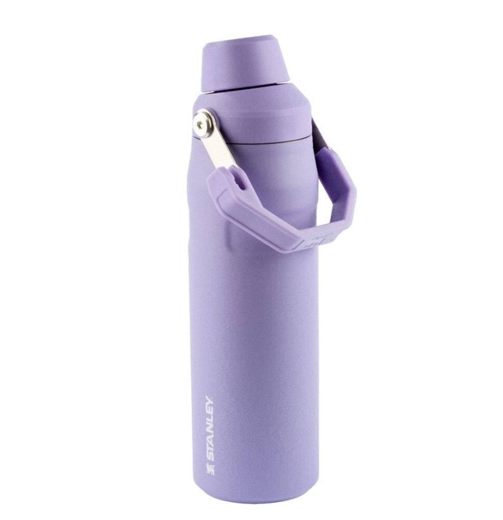 Garrafa Térmica Aerolight Fast Flow Lavender | 710ML